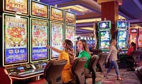 5bet55